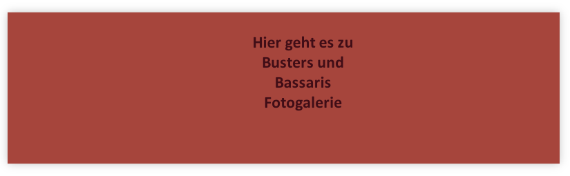 Hier geht es zu Busters und Bassaris Fotogalerie